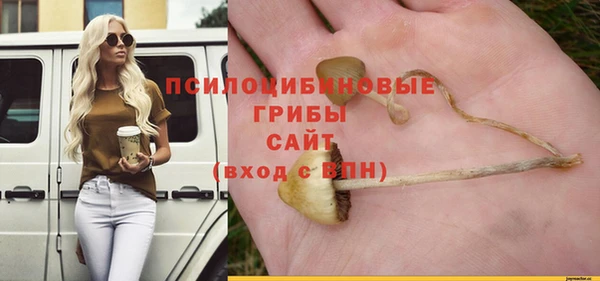 гидропоника Алексин