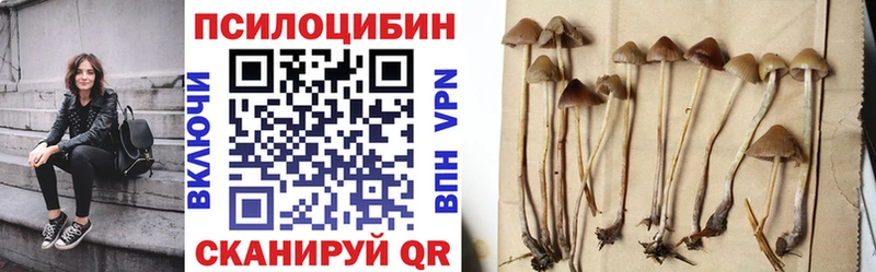 Псилоцибиновые грибы Psilocybine cubensis  цена   Камышин 